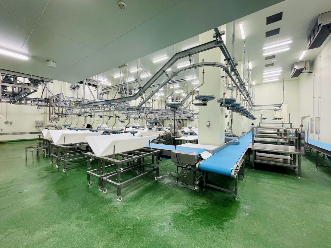 Cutting-room line